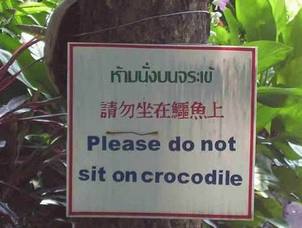 Do Not Sit on the Crocodiles Do Not Sit on the Crocodiles