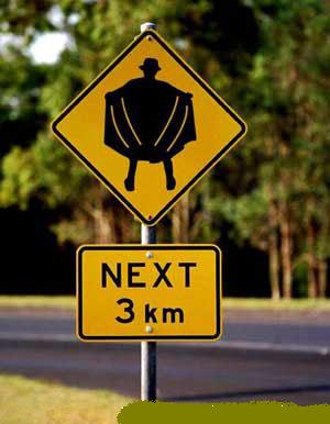 Flasher Ahead Flasher Ahead